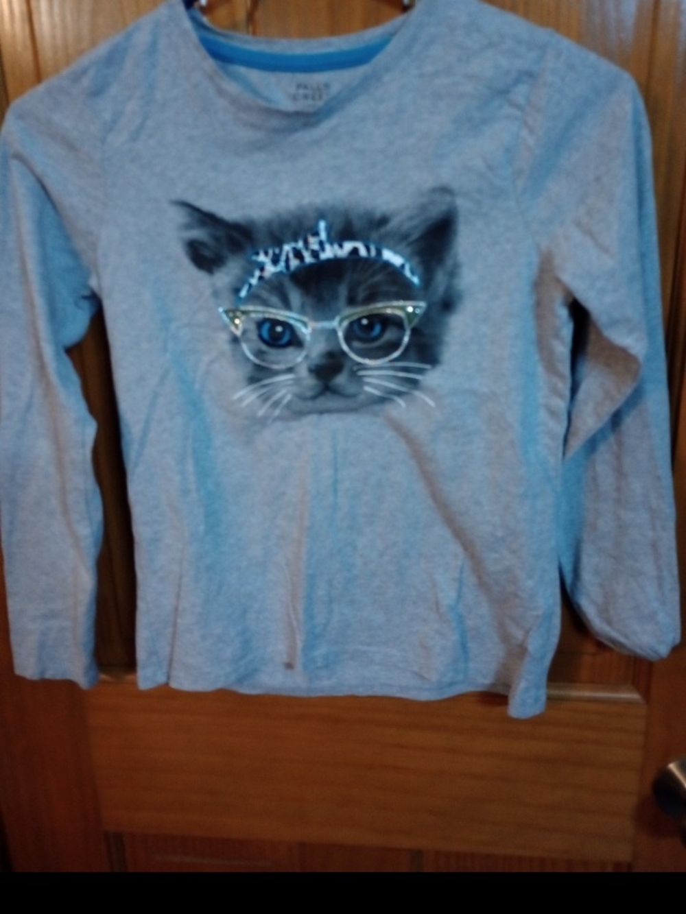 Falls Creek Gray Long-Sleeve Tee with Kitty Face and Glasses